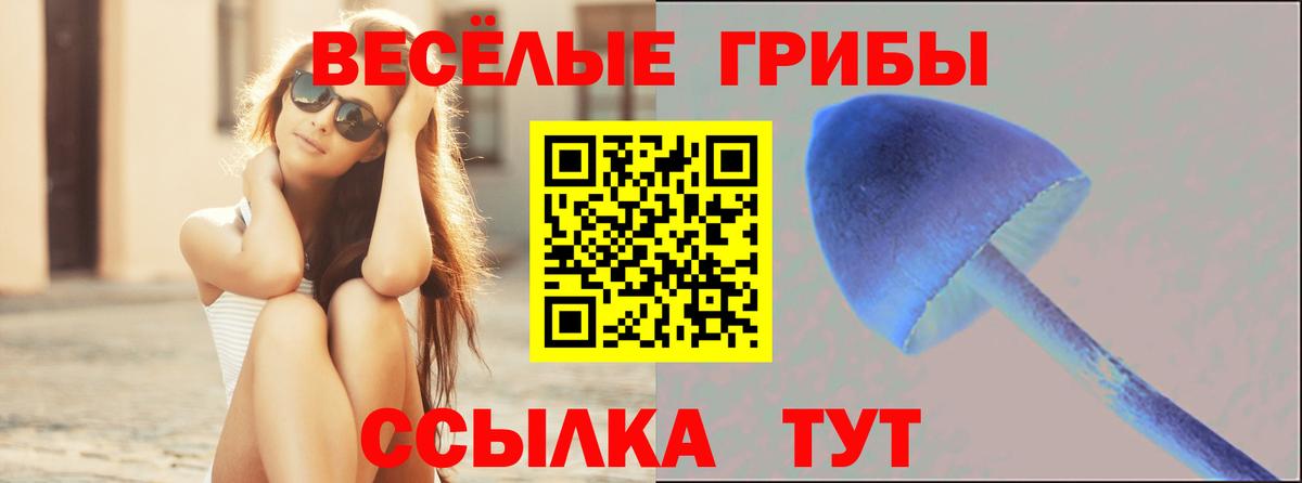 Псилоцибиновые грибы MAGIC MUSHROOMS Москва