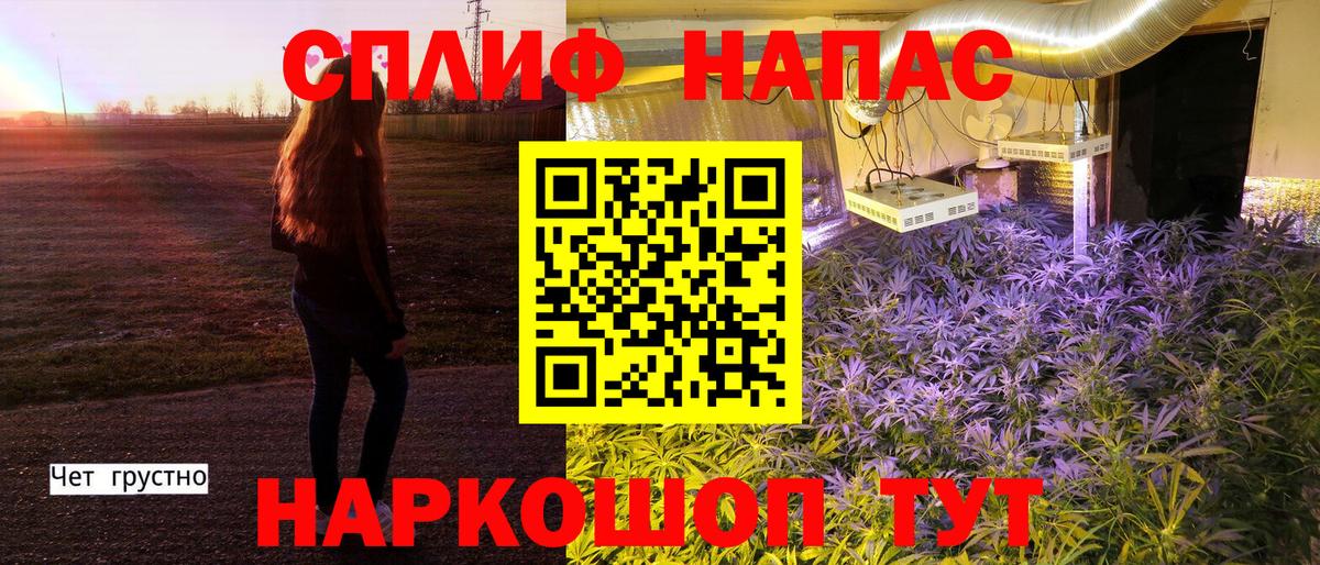 Шишки марихуана конопля Москва